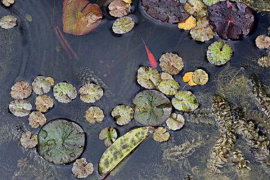外媒评15款希望在PS5 Pro增强的游戏 《悟空》在列